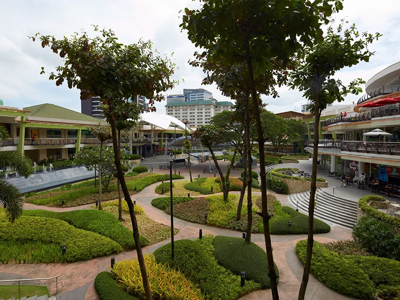 Cebu Terraces