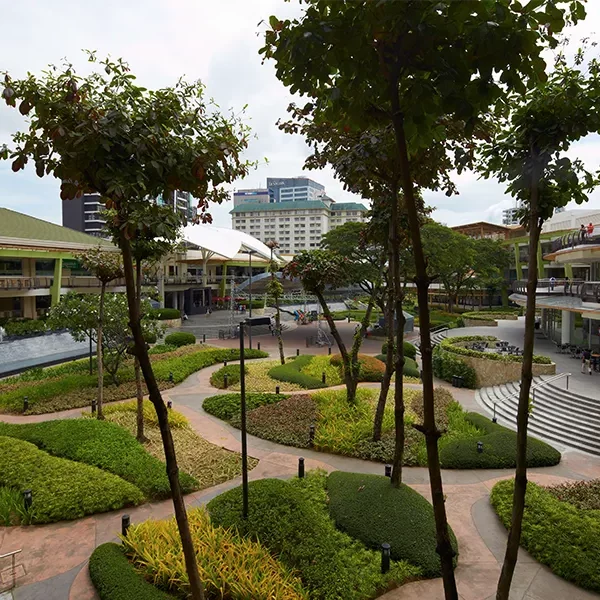 Cebu Terraces